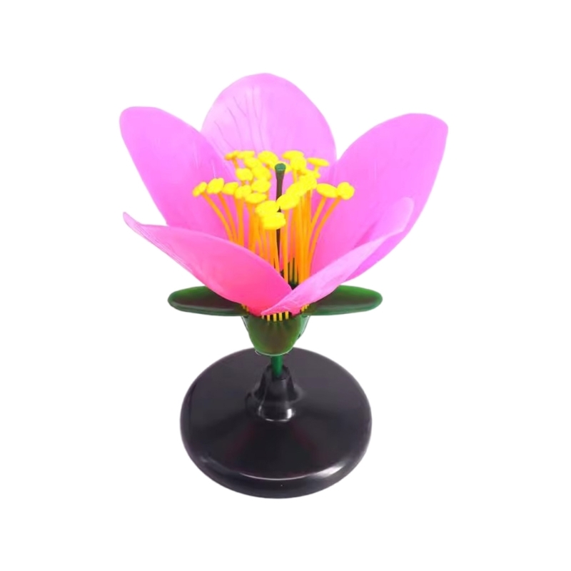 K9FC Realistic Plant Teaching  – Science Exhibition Models recenzja i cena