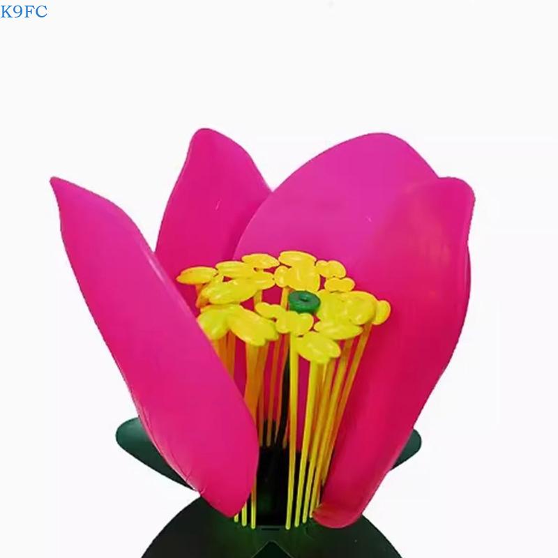 K9FC Realistic Plant Teaching  – Science Exhibition Models recenzja i cena