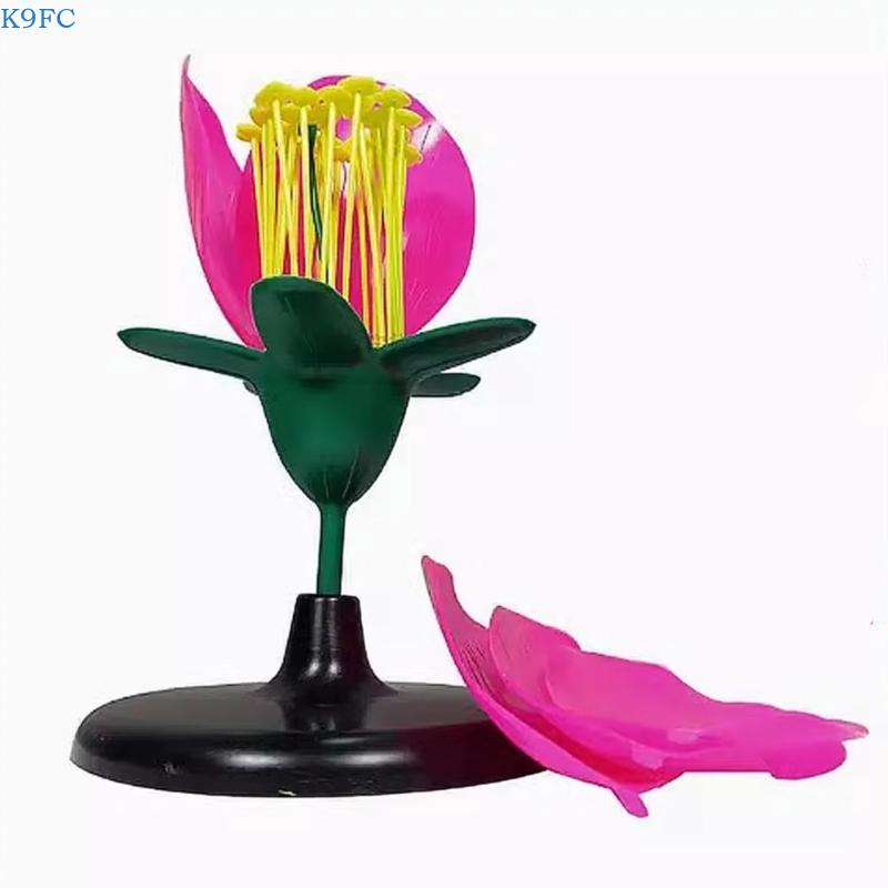 K9FC Realistic Plant Teaching  – Science Exhibition Models recenzja i cena