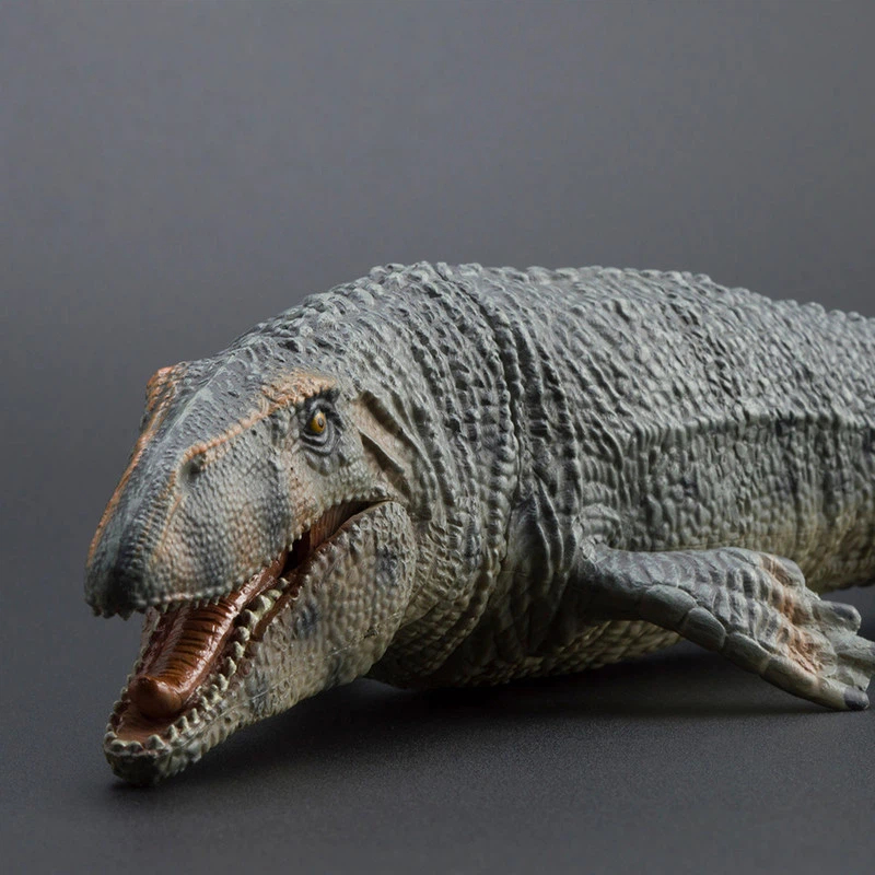 PROG Large Simulated Prognatho – Science Toys recenzja i cena