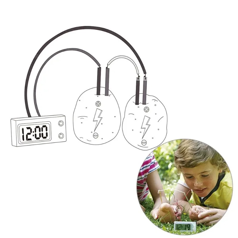 New Kid Montessori Toy Fruit P – Science Nature recenzja i cena