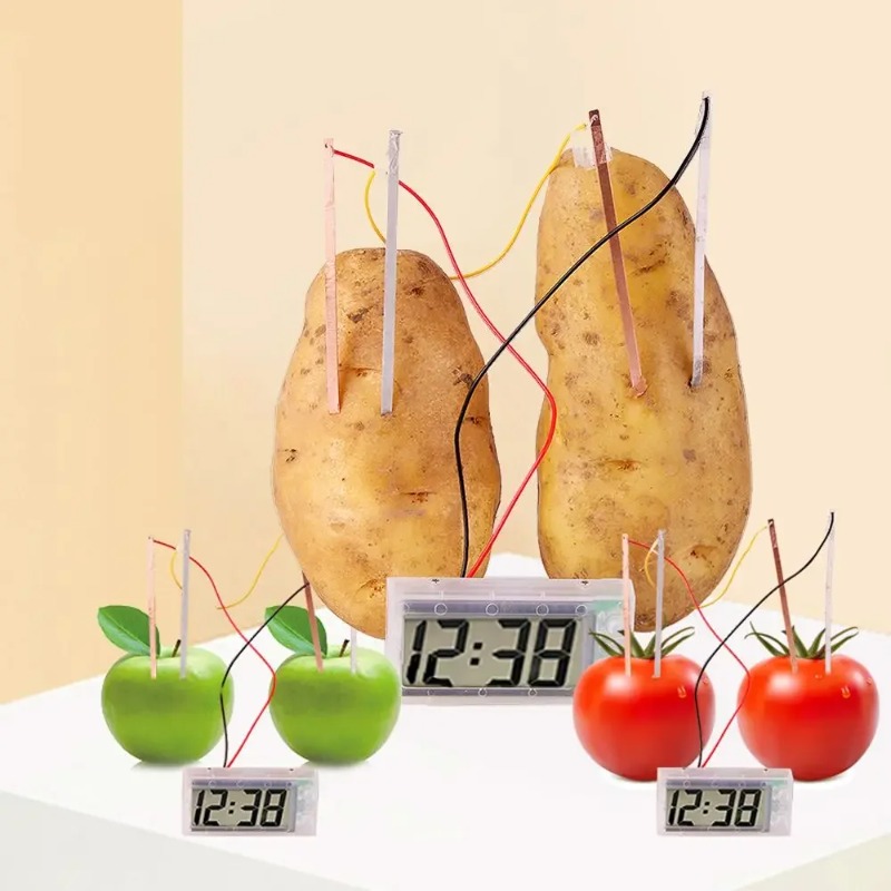 New Kid Montessori Toy Fruit P – Science Nature recenzja i cena