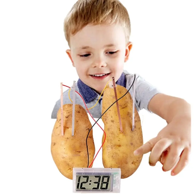 New Kid Montessori Toy Fruit P – Science Nature recenzja i cena