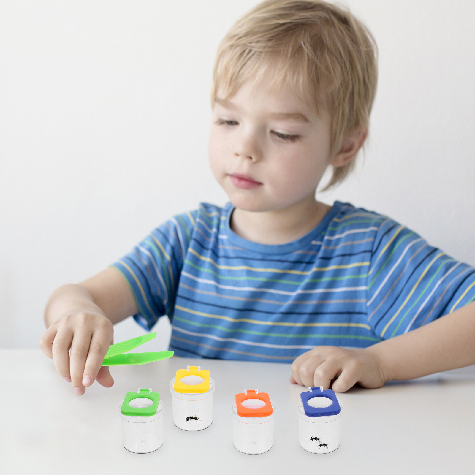 8Pcs Bug Observation Container – Science Nature recenzja i cena