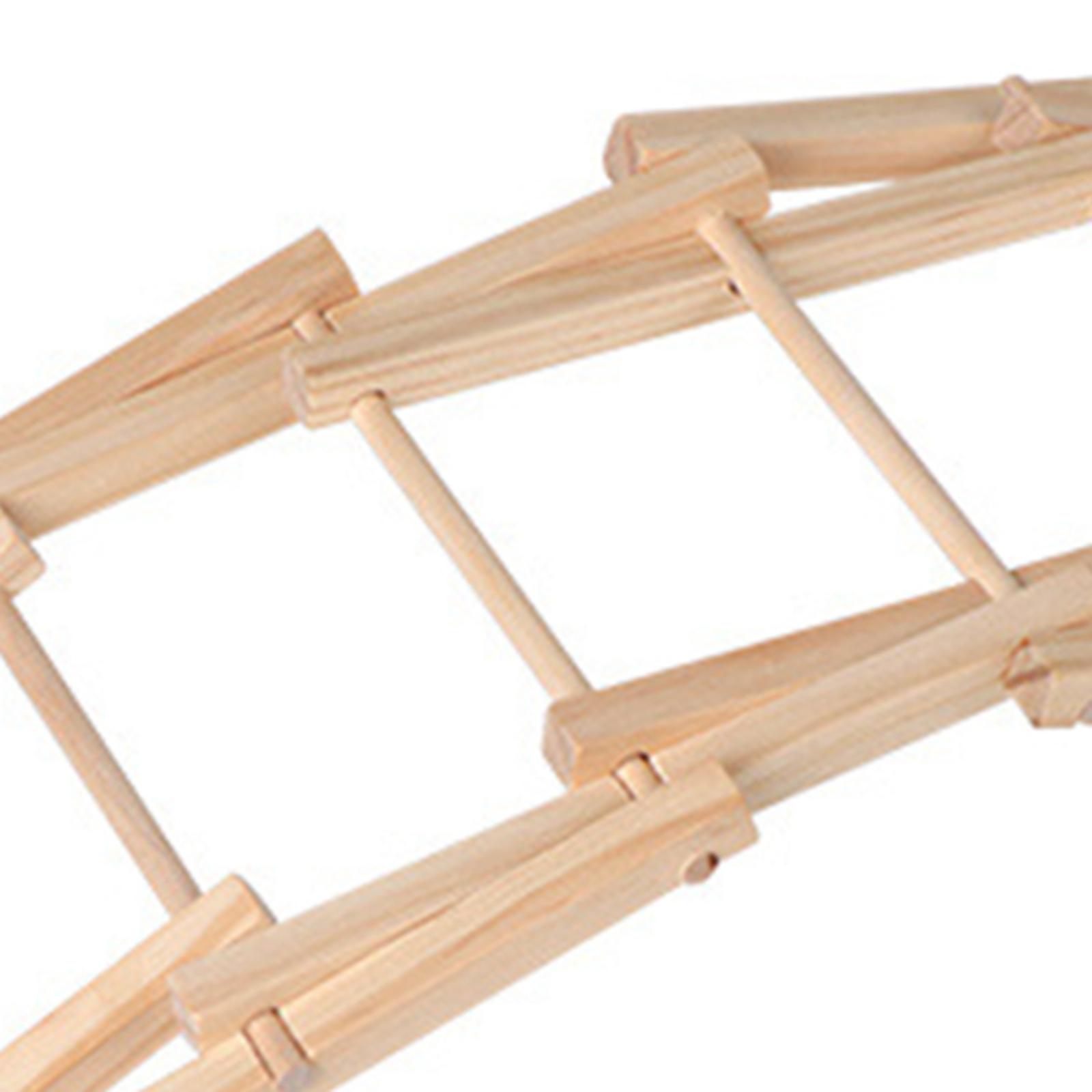 Wood Science Model Bridge (ass – Science And Invention recenzja i cena