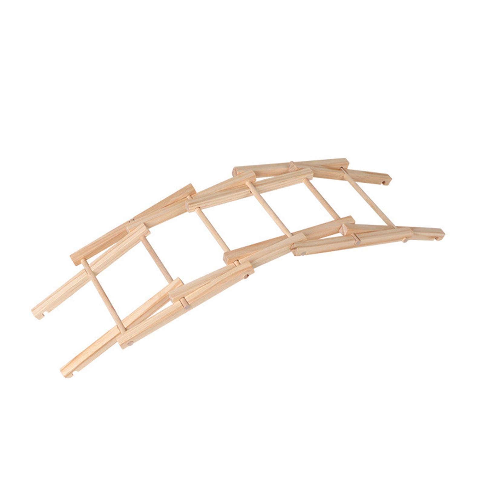 Wood Science Model Bridge (ass – Science And Invention recenzja i cena