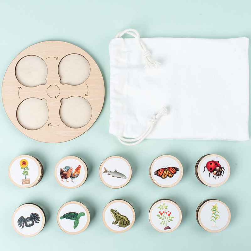 Life Cycle Board Montessori Ki – Science Nature recenzja i cena