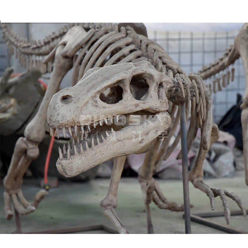 ATV&UTVResin Raptor Skeleton F – Science Exhibition Models recenzja i cena