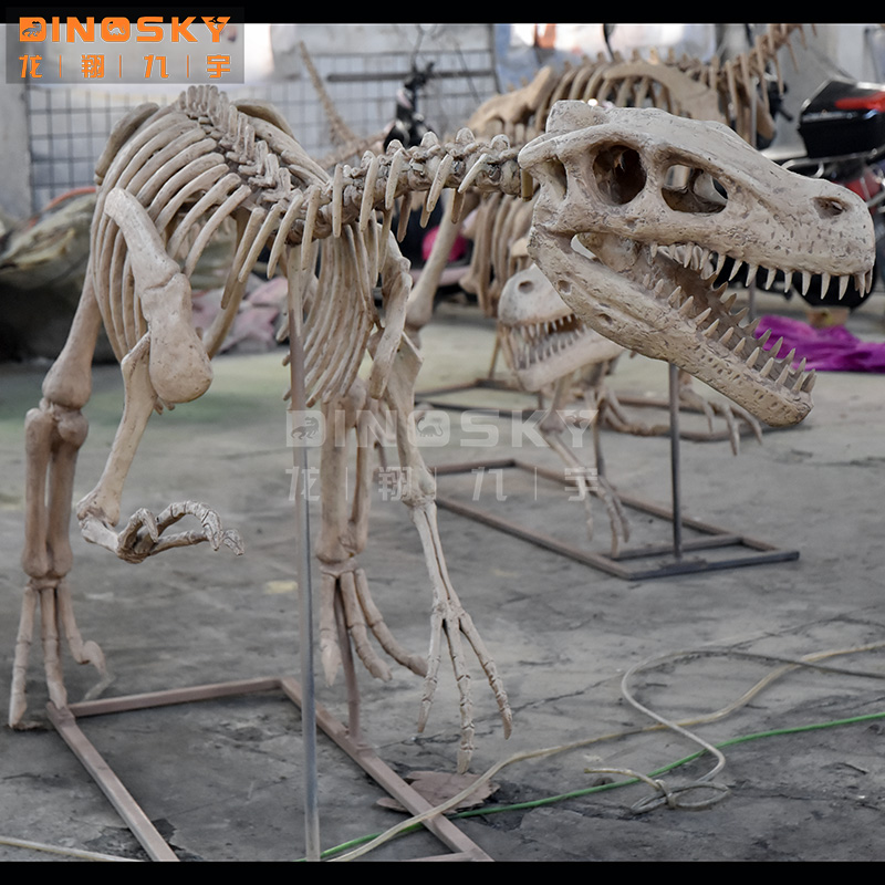 ATV&UTVResin Raptor Skeleton F – Science Exhibition Models recenzja i cena