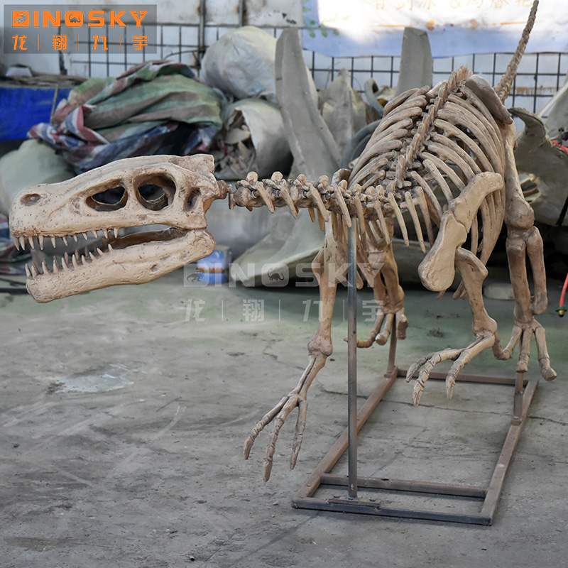 ATV&UTVResin Raptor Skeleton F – Science Exhibition Models recenzja i cena