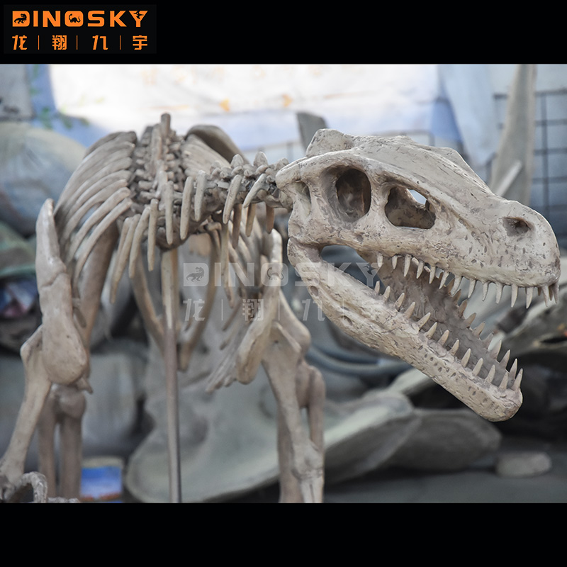 ATV&UTVResin Raptor Skeleton F – Science Exhibition Models recenzja i cena
