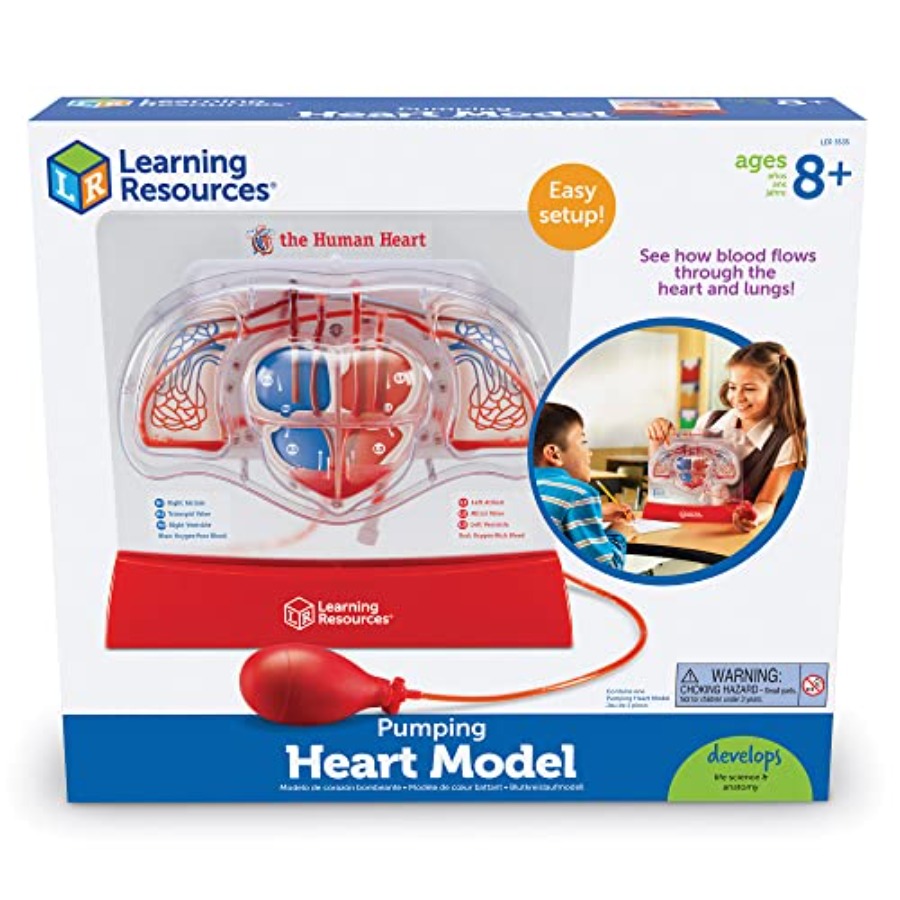 Science classroom STEM anatomy – Science Nature recenzja i cena